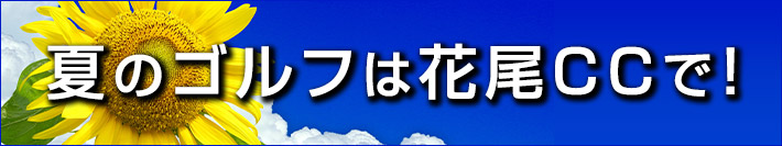 夏のイベント案内