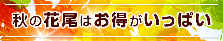 秋のイベント案内