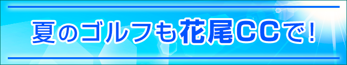 夏のイベント案内