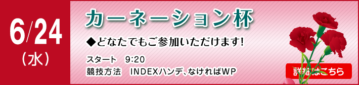 カーネーション杯