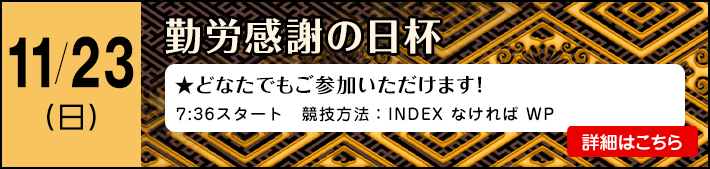 勤労感謝の日杯